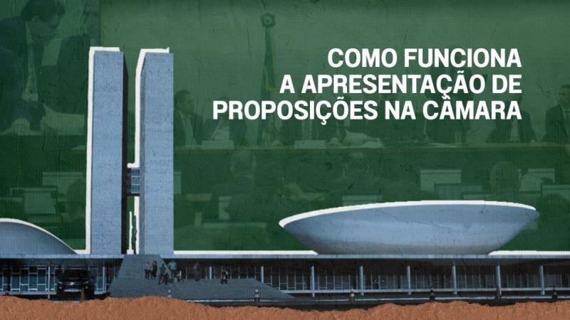 As proposições também podem ser apresentadas por outros Poderes ou por cidadãos, por exemplo.