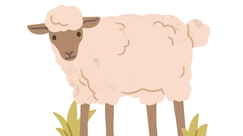 O Brasil age como cordeiro da mineração.