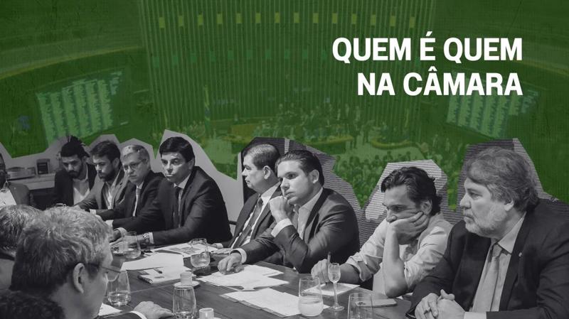 O líder atua como porta-voz do grupo nas votações, debates e negociações internas.