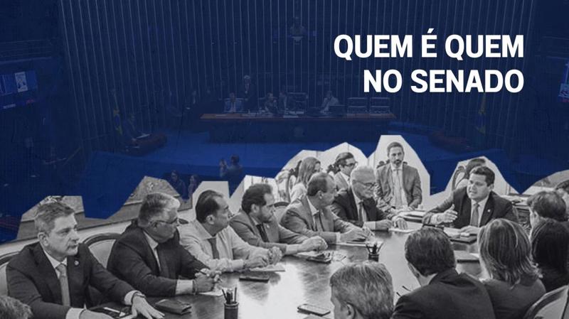 O líder atua como porta-voz do grupo nas votações, debates e negociações internas.