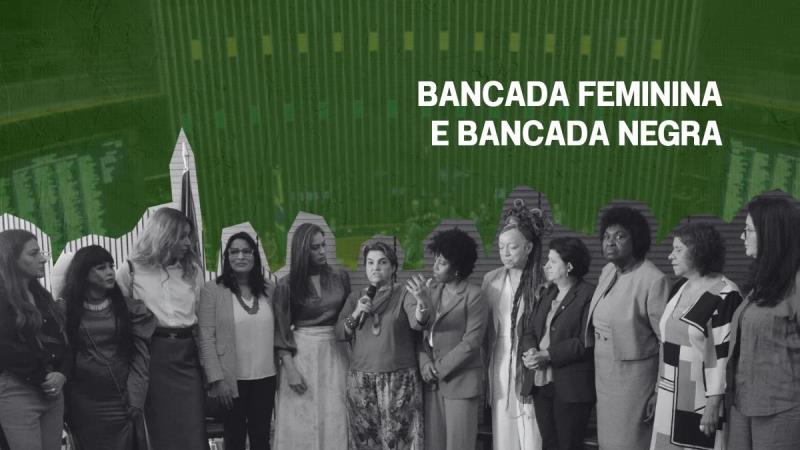 Diferentemente da Bancada Feminina, a Bancada Negra existe apenas na Câmara.