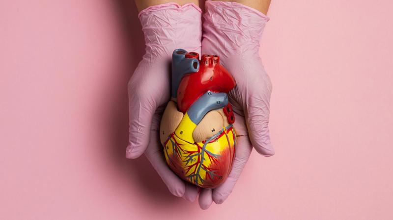 Projeto quer usar dados do Censo para ampliar transplantes.