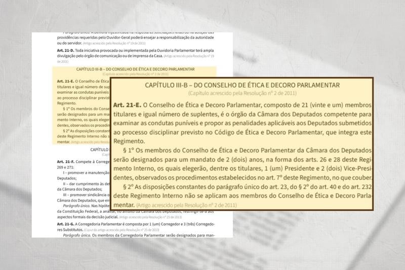 Trecho do Regimento Interno da Câmara.