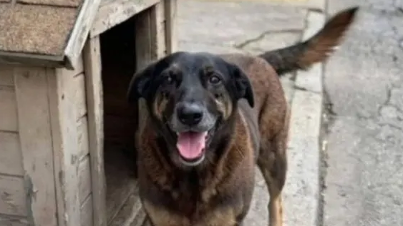 Suspeita é de que a agressão aconteceu a pauladas.