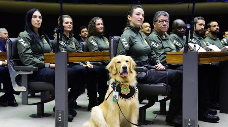 Inscrições abrem nesta quinta-feira (29).