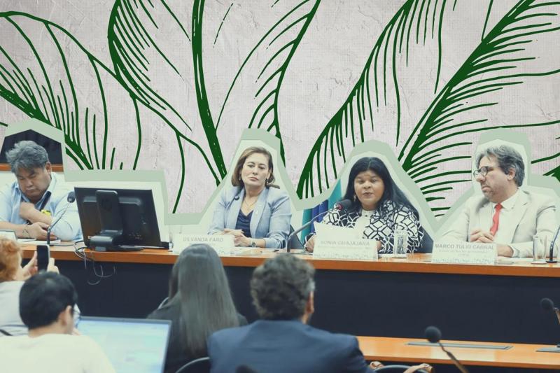 Pauta da CMA também inclui projetos de decretos legislativos, que visam sustar normas do Poder Executivo.