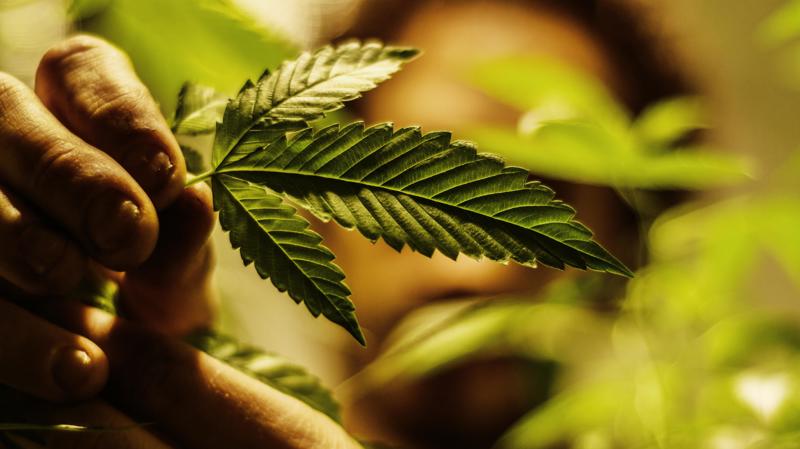 Projeto foi apresentado em maio de 2025.