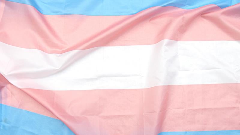 Omissão do Estado e atraso do IBGE em produzir dados sobre identidade de gênero perpetuam violência, marginalização e impunidade.