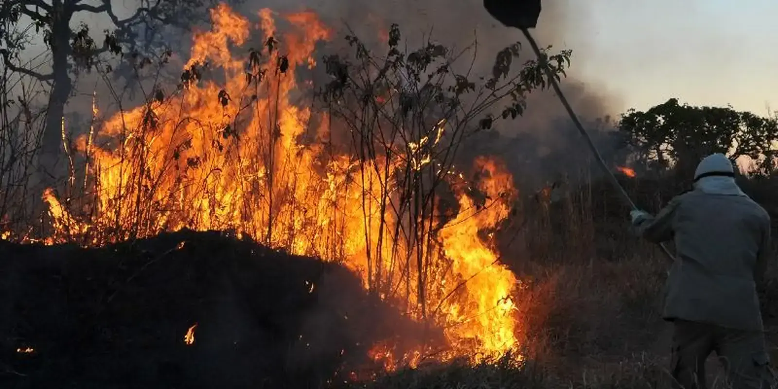 Promulgada lei que libera R$ 514 milhões para combate a incêndios na Amazônia.
