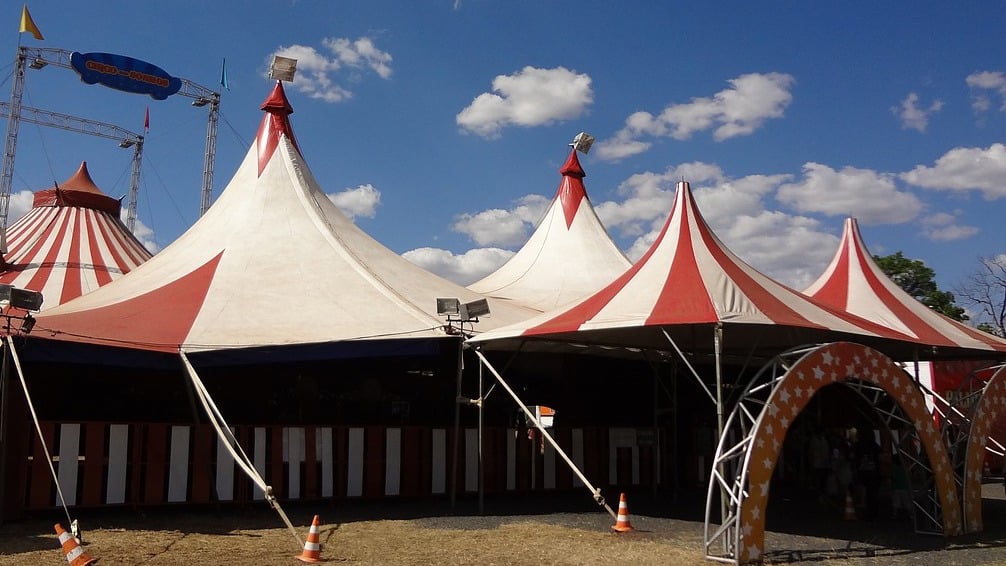 Os circos também deverão garantir aposentadoria digna aos animais utilizados.