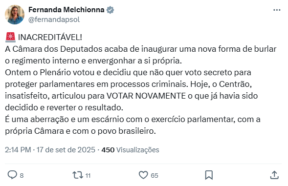 Post feito por Fernanda Melchionna